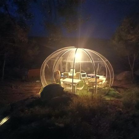 Гостьовий будинок Eucaliptus Farm Retreat Санта-Тереза-Галлура Екстер'єр фото