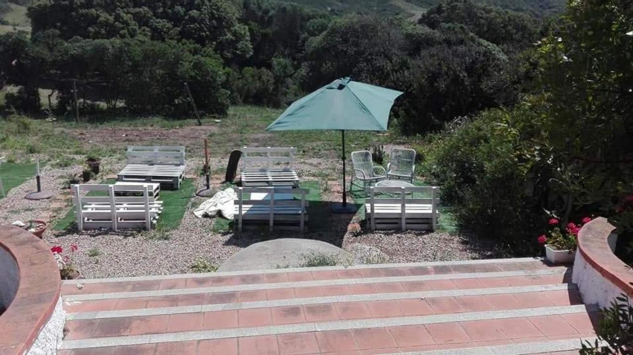 Гостьовий будинок Eucaliptus Farm Retreat Санта-Тереза-Галлура Екстер'єр фото